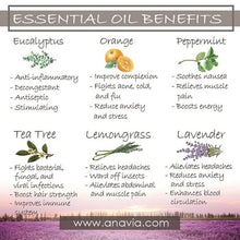 Load image into Gallery viewer, Rose Gold Dream Catcher Aromatherapy Bangle